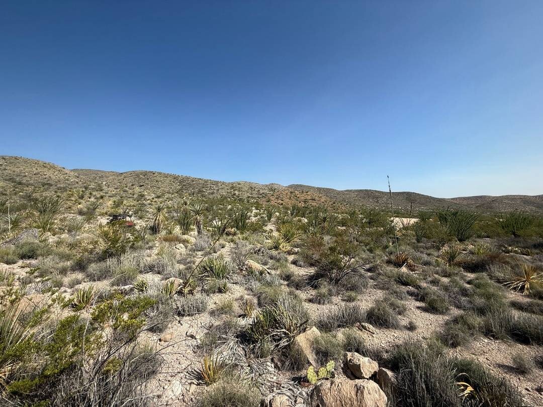 Land for Sale in Brewster County, TX (12 of 42)