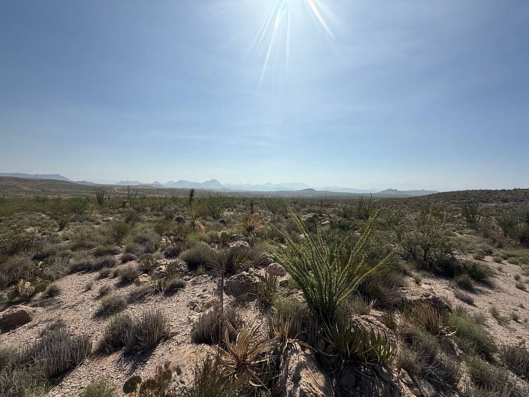 Land for Sale in Brewster County, TX (14 of 42)