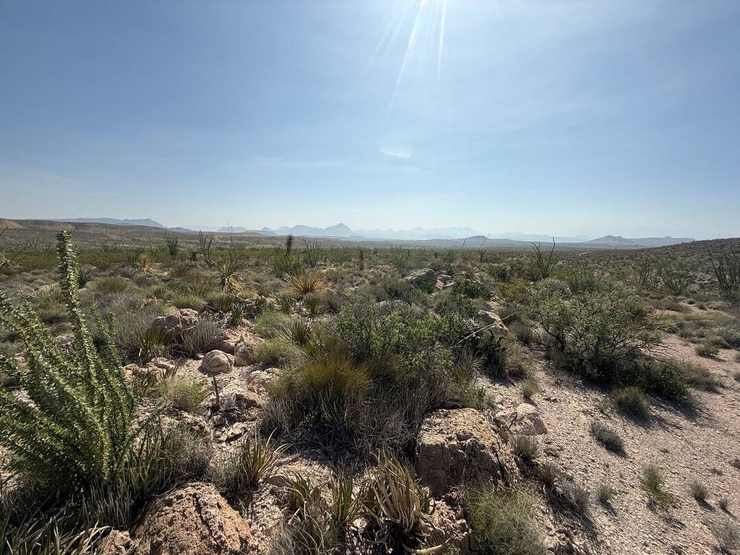 Land for Sale in Brewster County, TX (15 of 42)