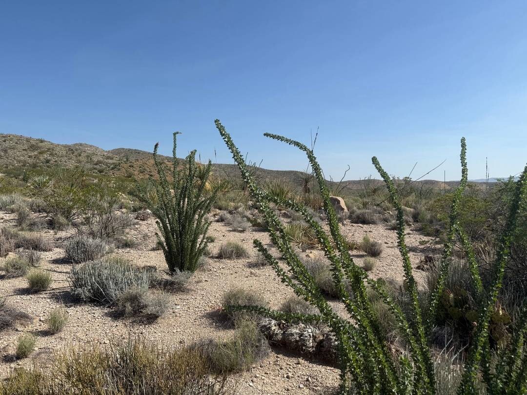 Land for Sale in Brewster County, TX (16 of 42)