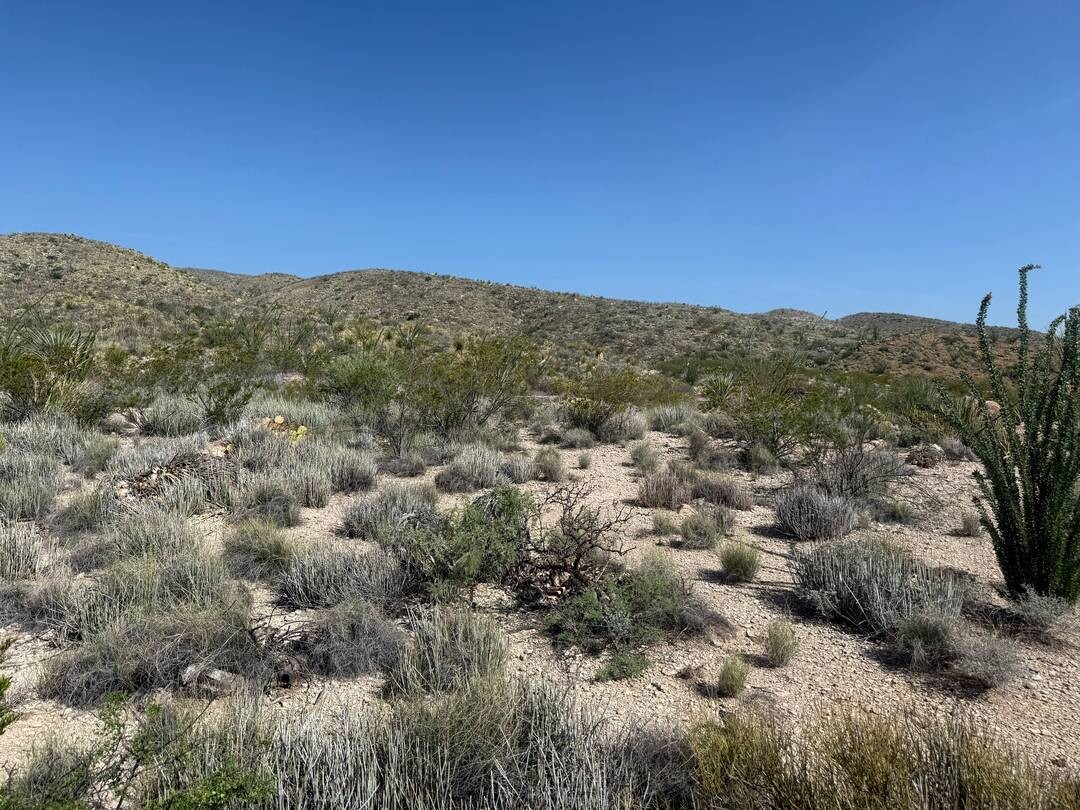 Land for Sale in Brewster County, TX (17 of 42)