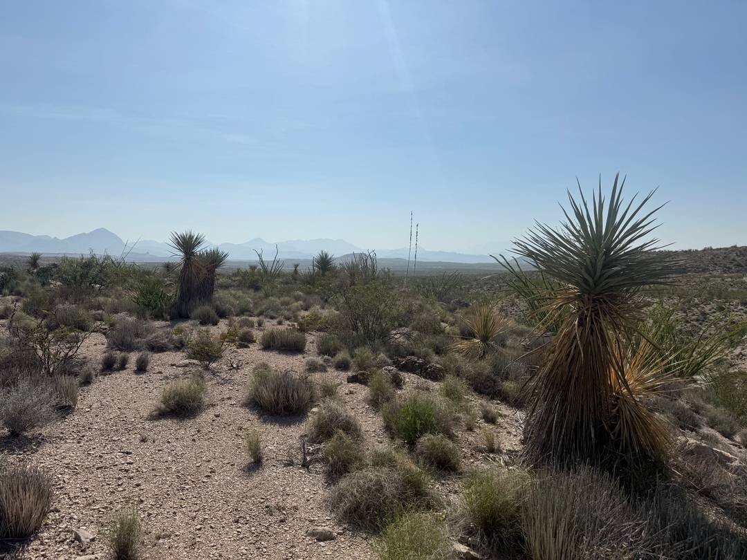 Land for Sale in Brewster County, TX (18 of 42)