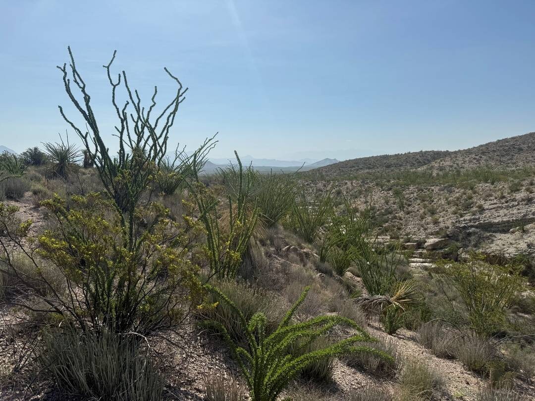 Land for Sale in Brewster County, TX (20 of 42)