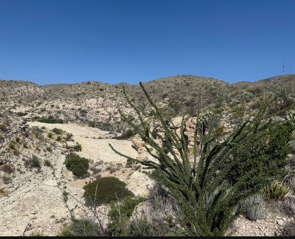 Land for Sale in Brewster County, TX (21 of 42)