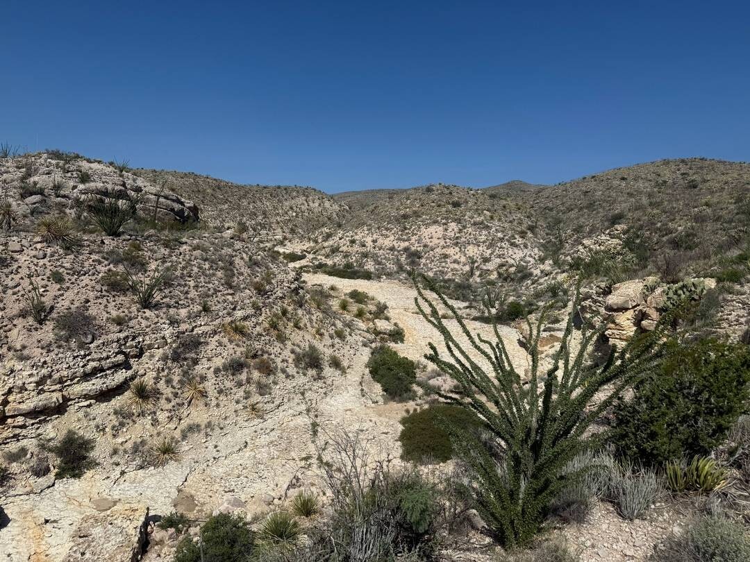 Land for Sale in Brewster County, TX (25 of 42)