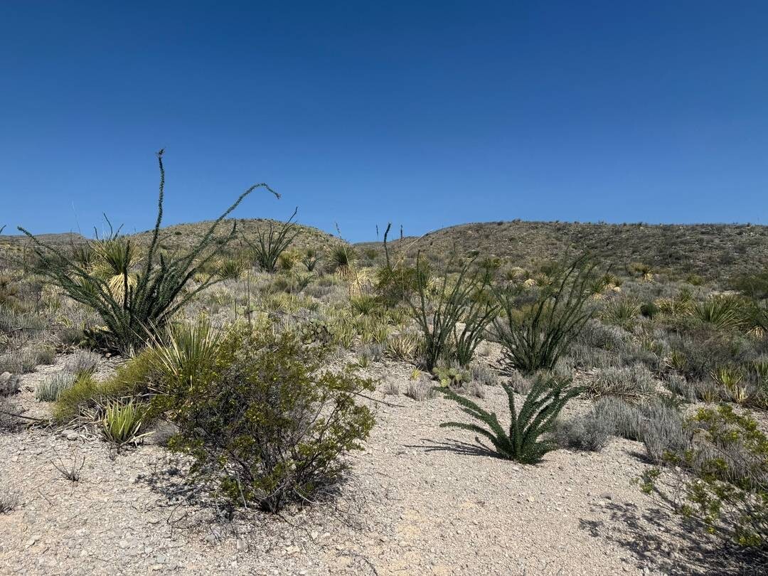 Land for Sale in Brewster County, TX (26 of 42)
