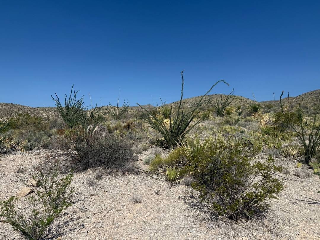 Land for Sale in Brewster County, TX (27 of 42)