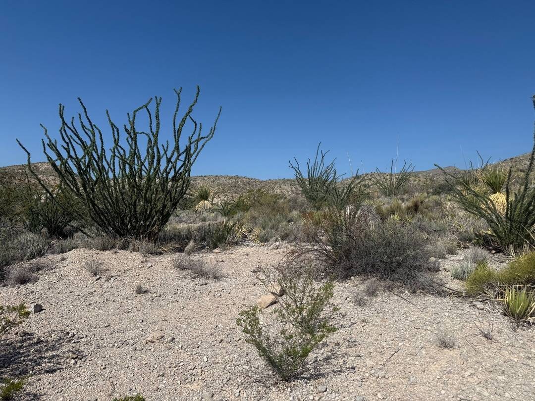 Land for Sale in Brewster County, TX (28 of 42)