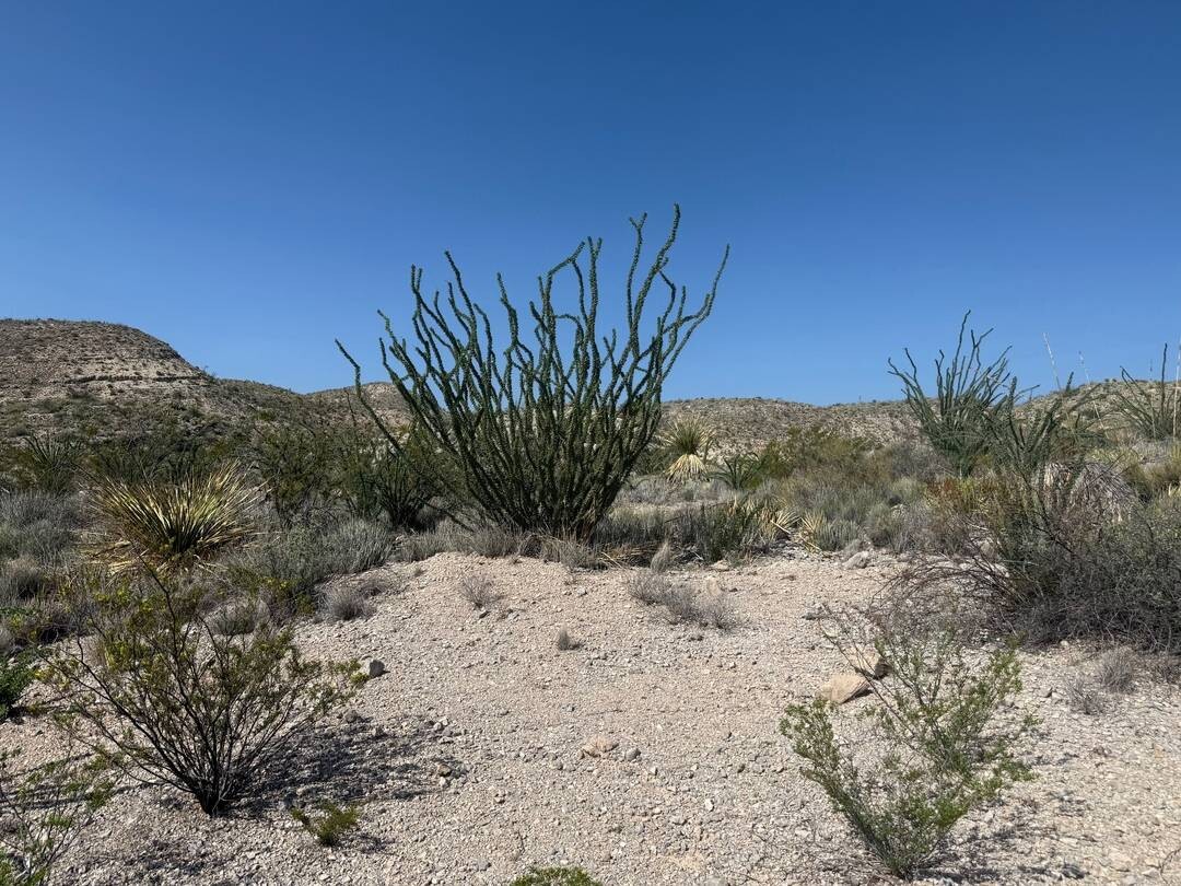 Land for Sale in Brewster County, TX (29 of 42)