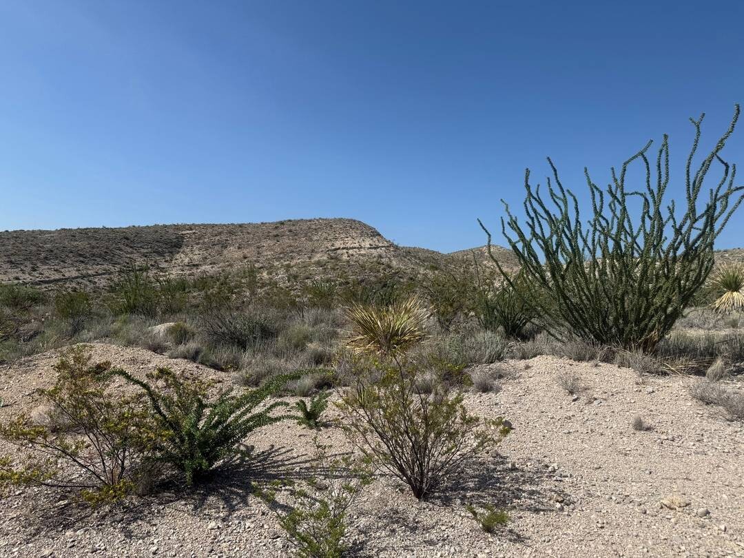 Land for Sale in Brewster County, TX (30 of 42)