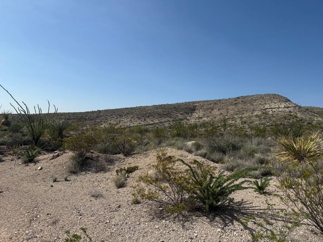 Land for Sale in Brewster County, TX (31 of 42)