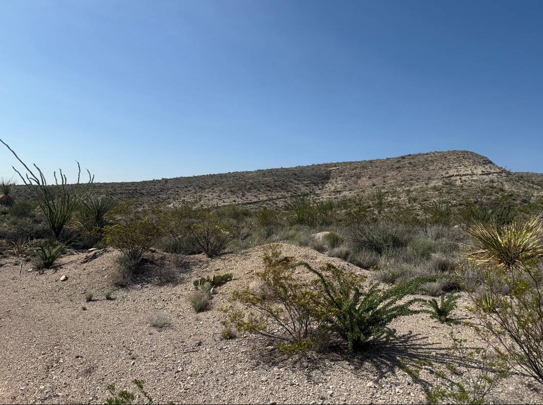 Land for Sale in Brewster County, TX (32 of 42)