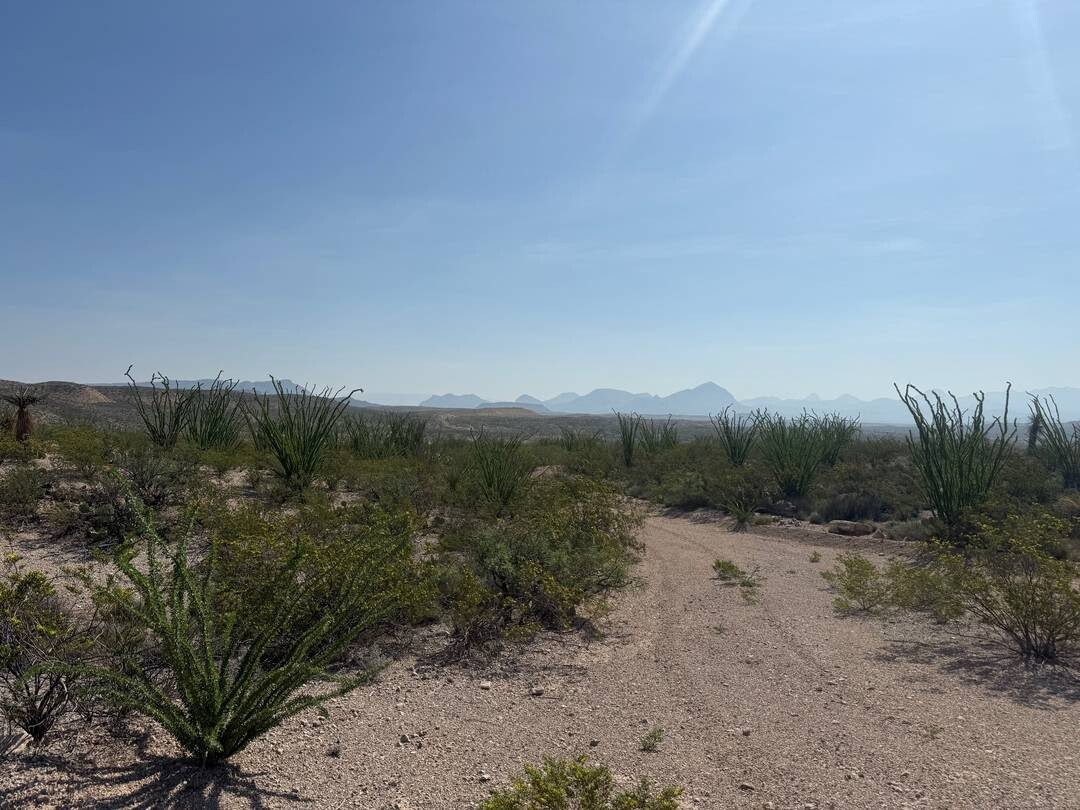 Land for Sale in Brewster County, TX (34 of 42)