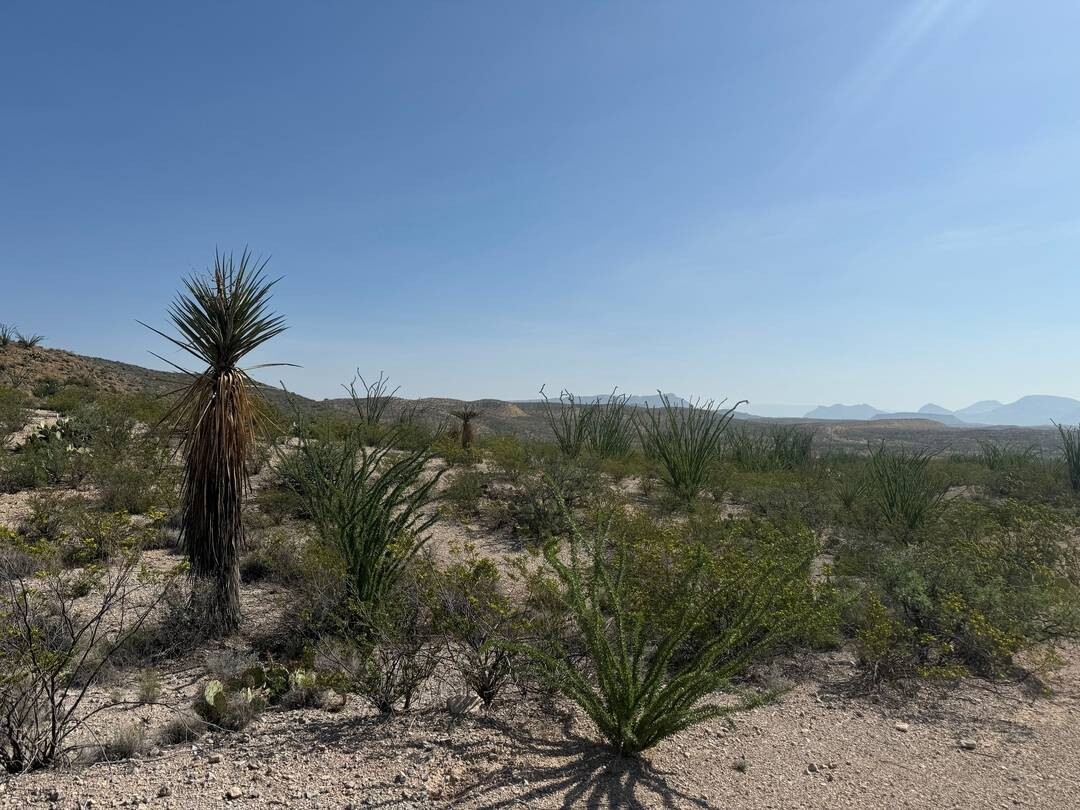 Land for Sale in Brewster County, TX (35 of 42)