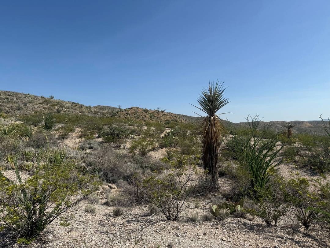 Land for Sale in Brewster County, TX (36 of 42)