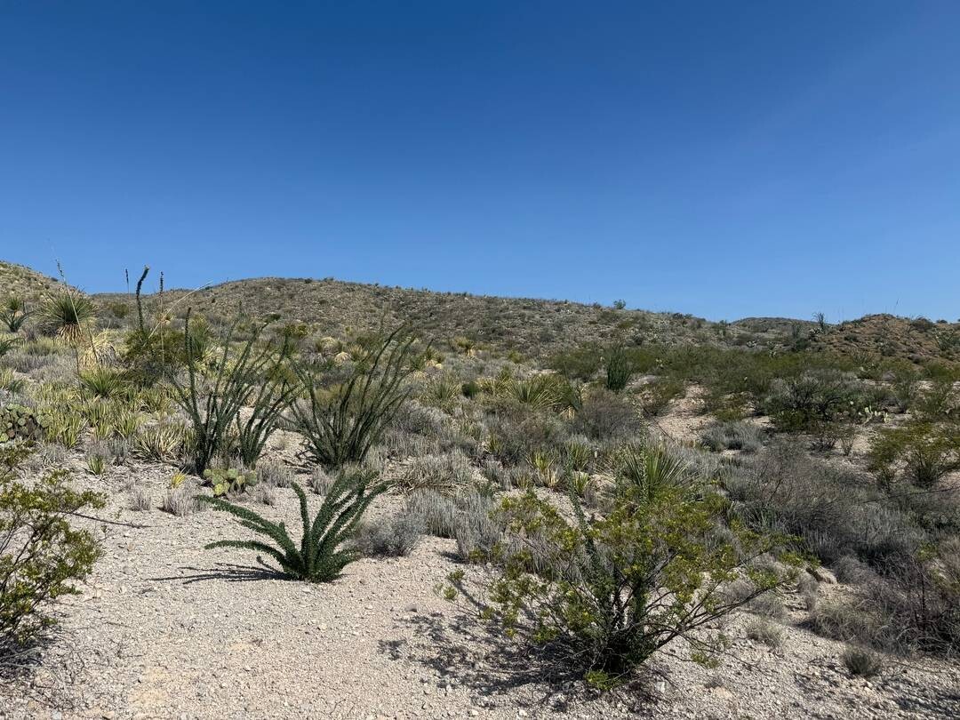 Land for Sale in Brewster County, TX (37 of 42)