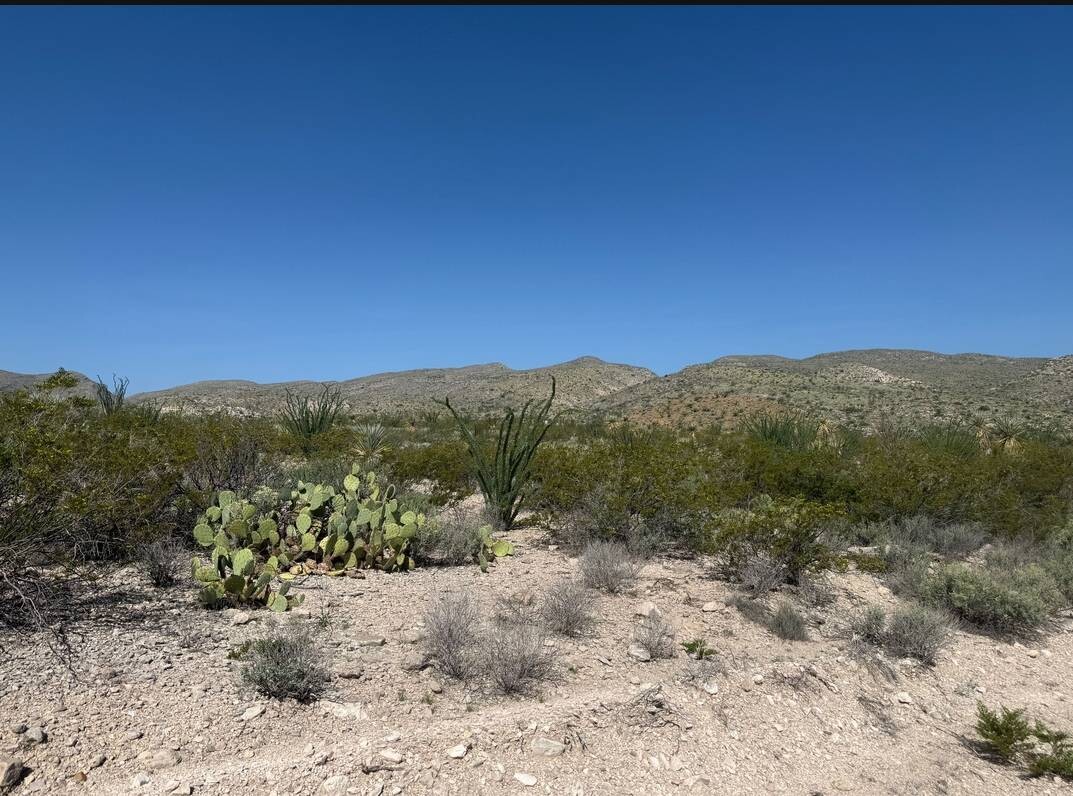Land for Sale in Brewster County, TX (39 of 42)