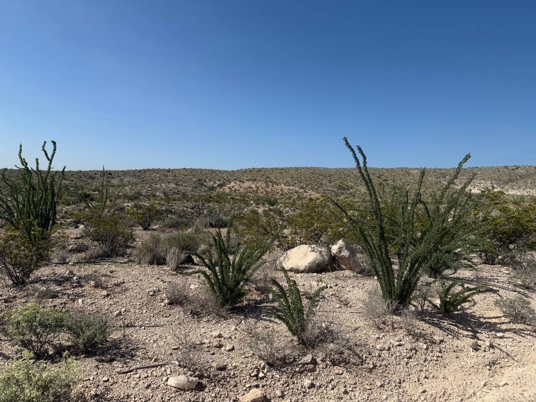Land for Sale in Brewster County, TX (40 of 42)