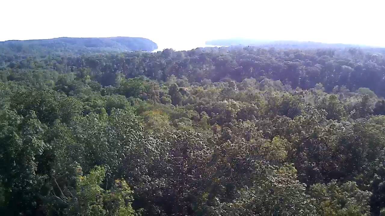 Land for Sale in Stewart County, TN (4 of 25)
