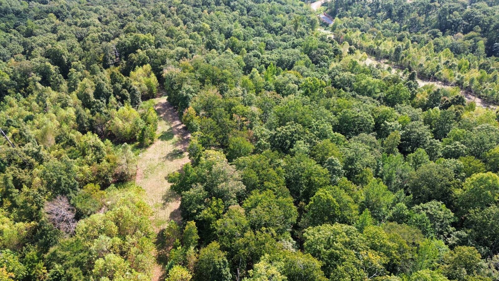 Land for Sale in Stewart County, TN (5 of 25)