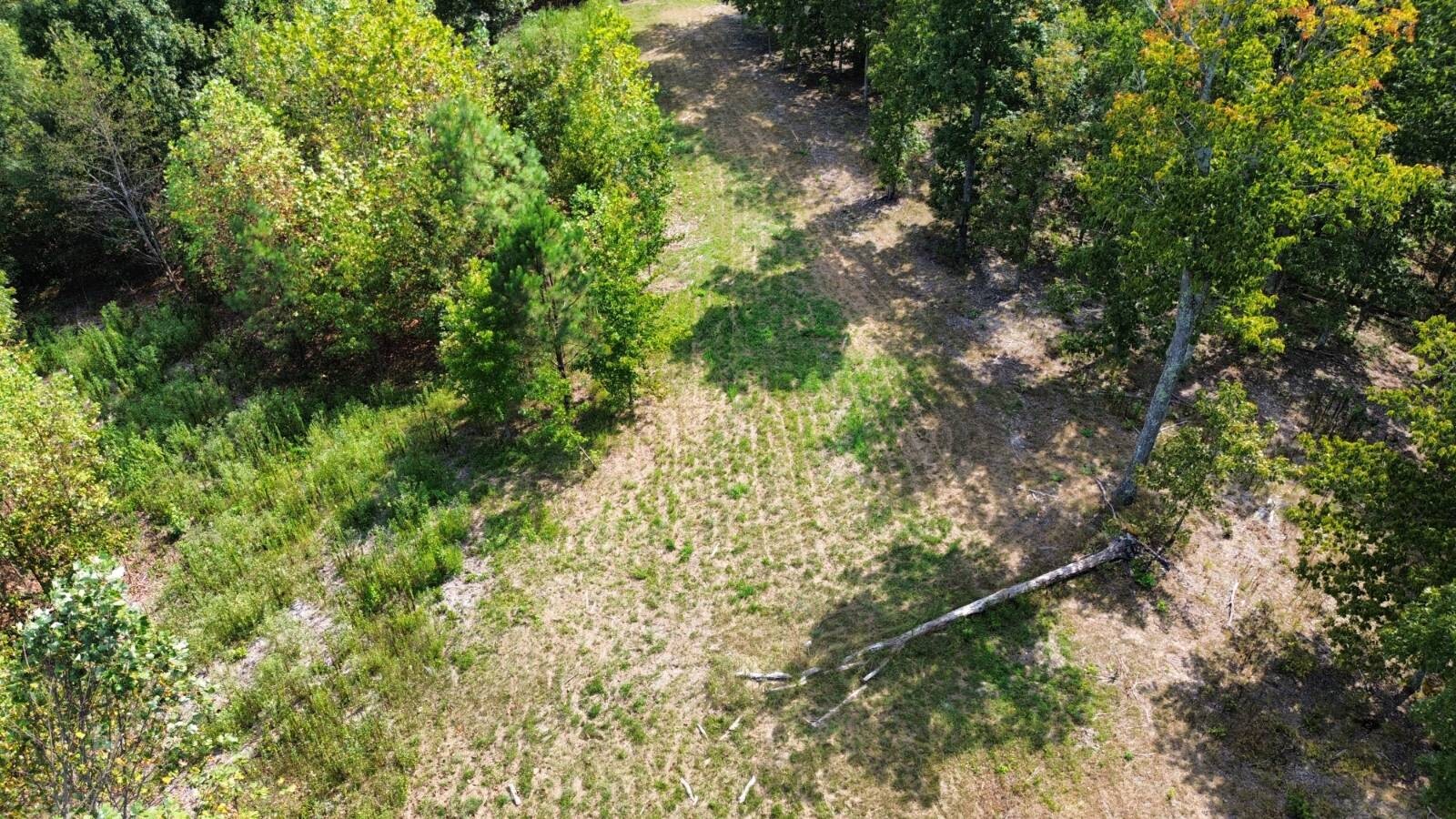 Land for Sale in Stewart County, TN (7 of 25)