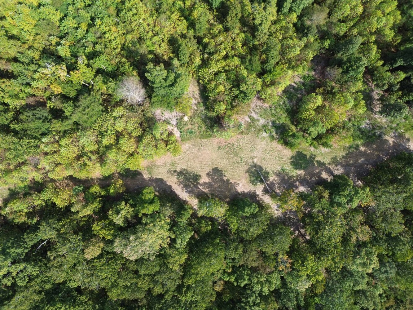 Land for Sale in Stewart County, TN (8 of 25)