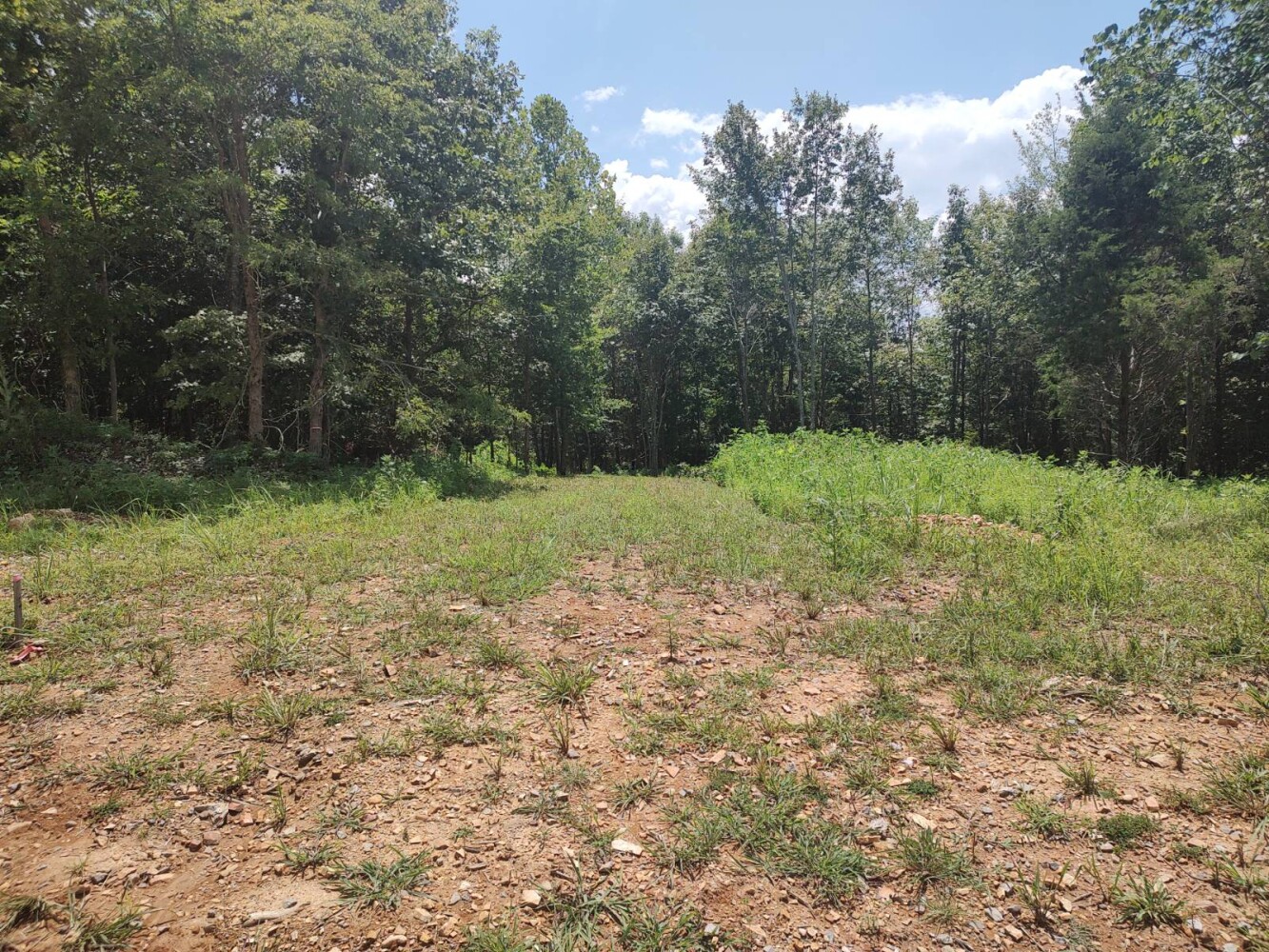 Land for Sale in Stewart County, TN (10 of 25)