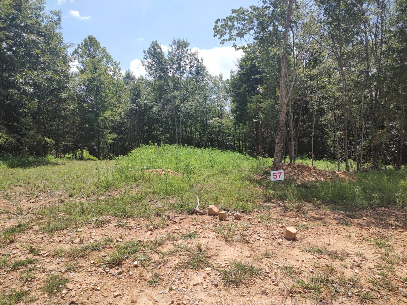 Land for Sale in Stewart County, TN (12 of 25)