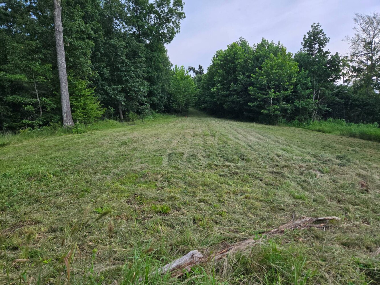 Land for Sale in Stewart County, TN (14 of 25)