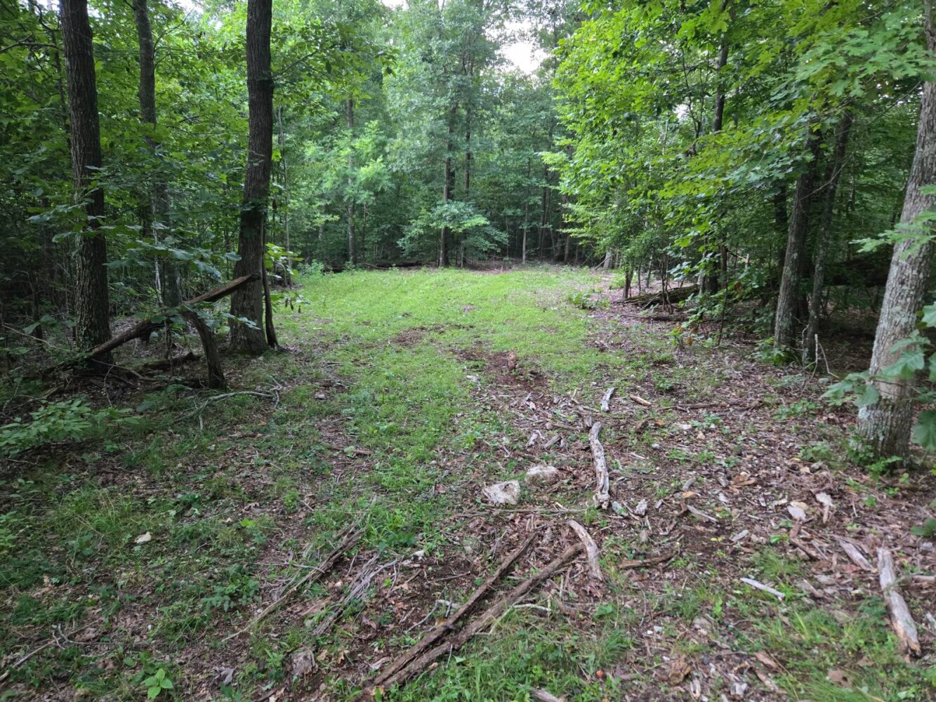 Land for Sale in Stewart County, TN (16 of 25)