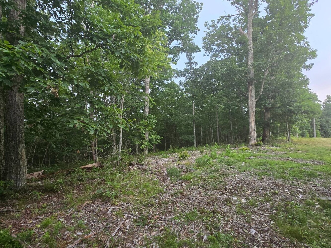 Land for Sale in Stewart County, TN (17 of 25)