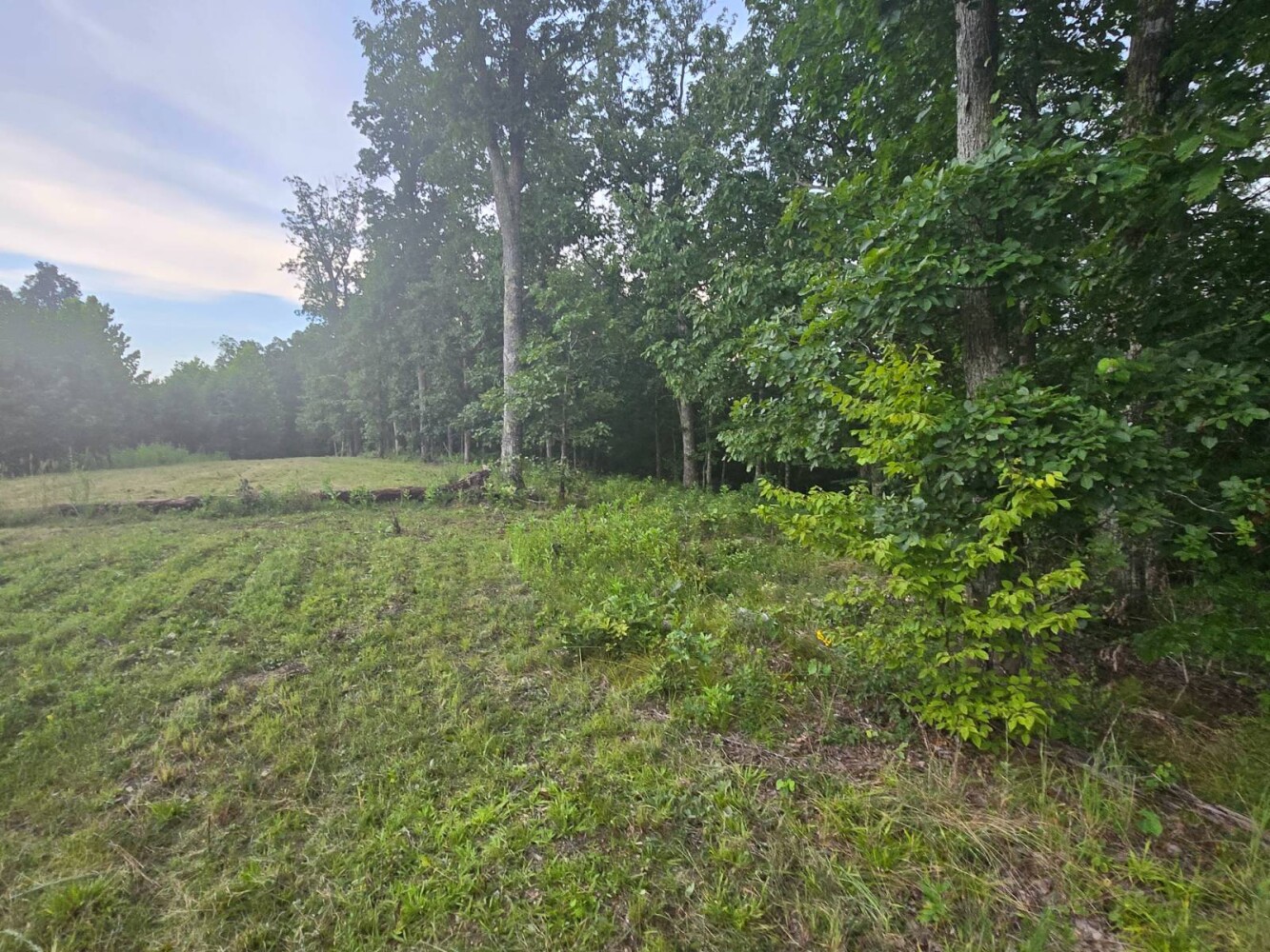 Land for Sale in Stewart County, TN (18 of 25)