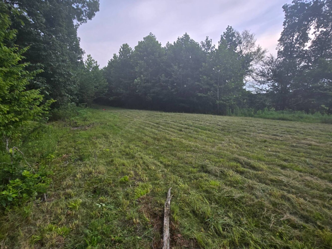 Land for Sale in Stewart County, TN (19 of 25)