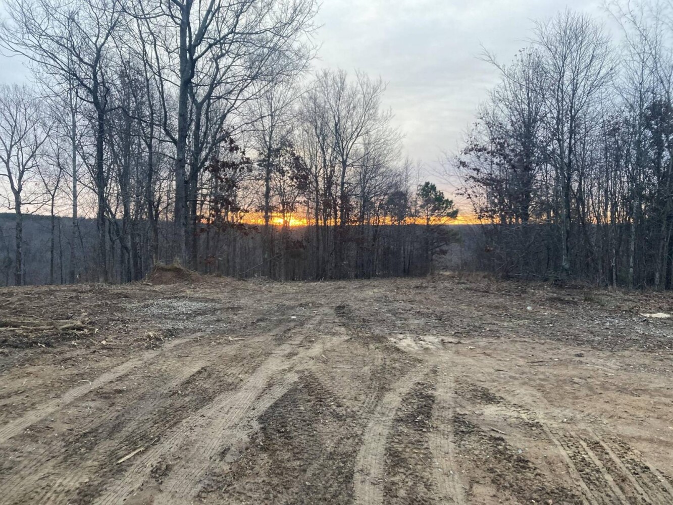 Land for Sale in Stewart County, TN (21 of 25)