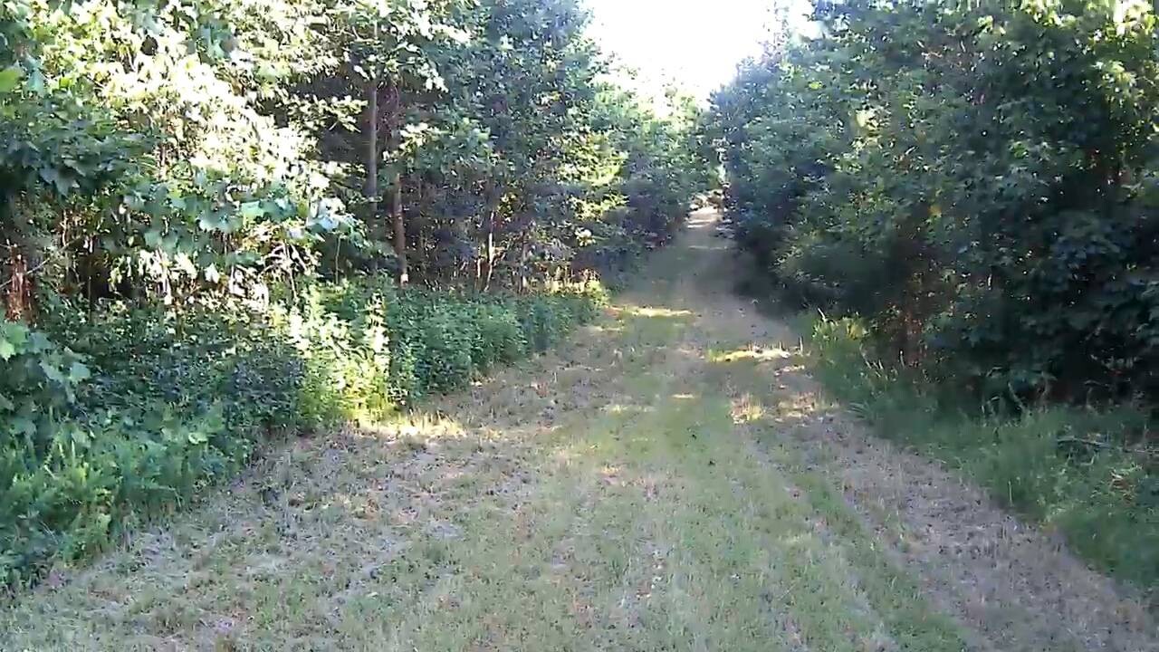 Land for Sale in Stewart County, TN (22 of 25)