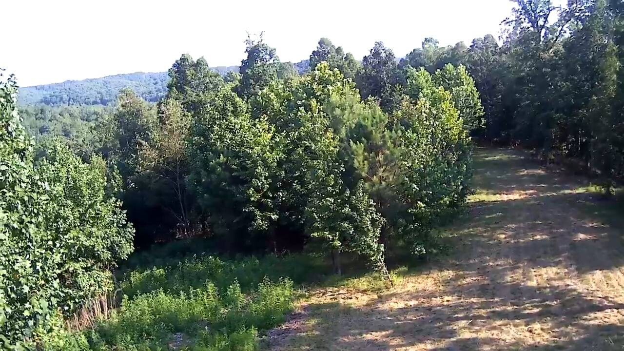 Land for Sale in Stewart County, TN (23 of 25)