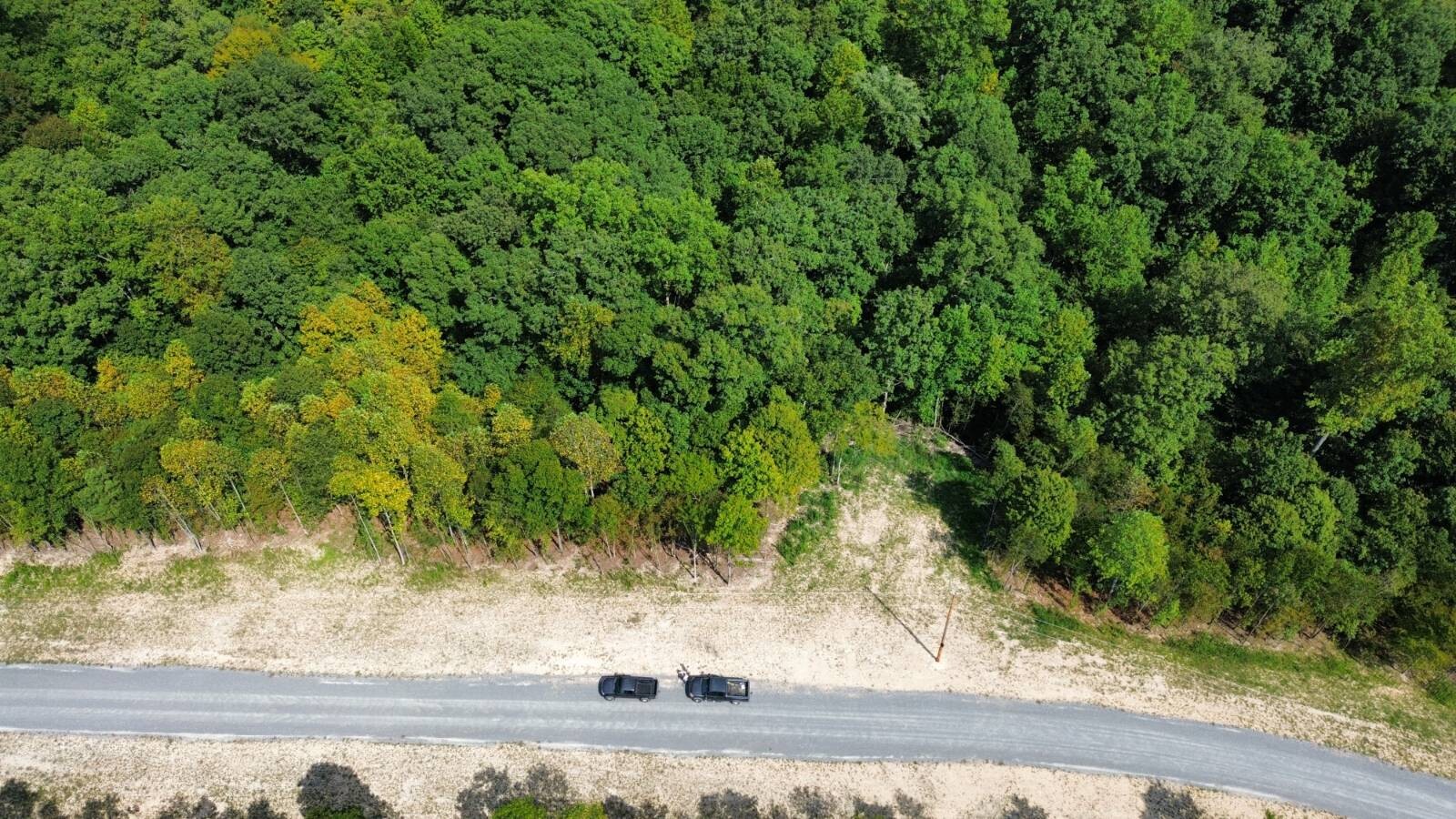 Land for Sale in Stewart County, TN (25 of 25)