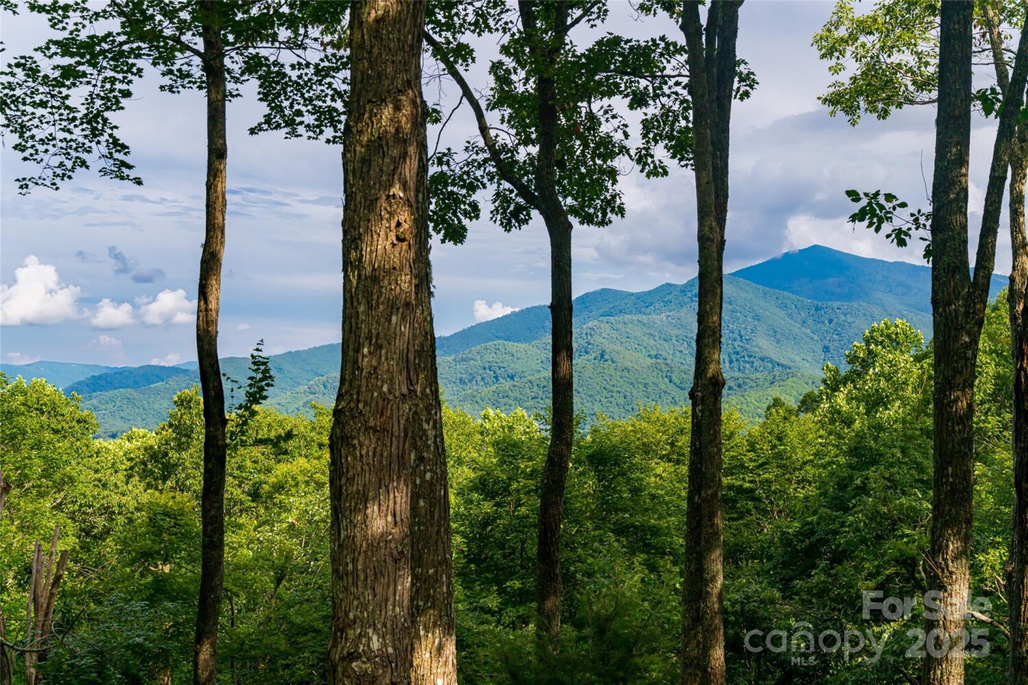 Land for Sale in Yancey County, NC (14 of 48)