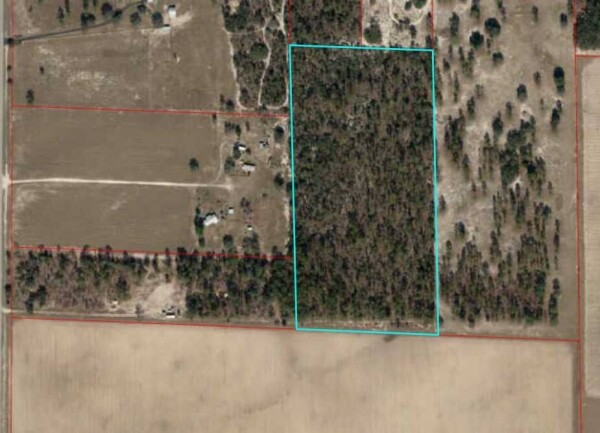 Listing image 9