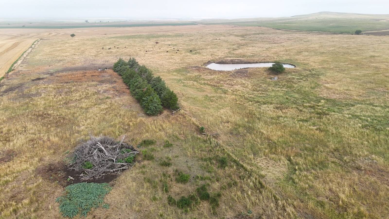 Land for Sale in Mitchell County, KS (5 of 23)