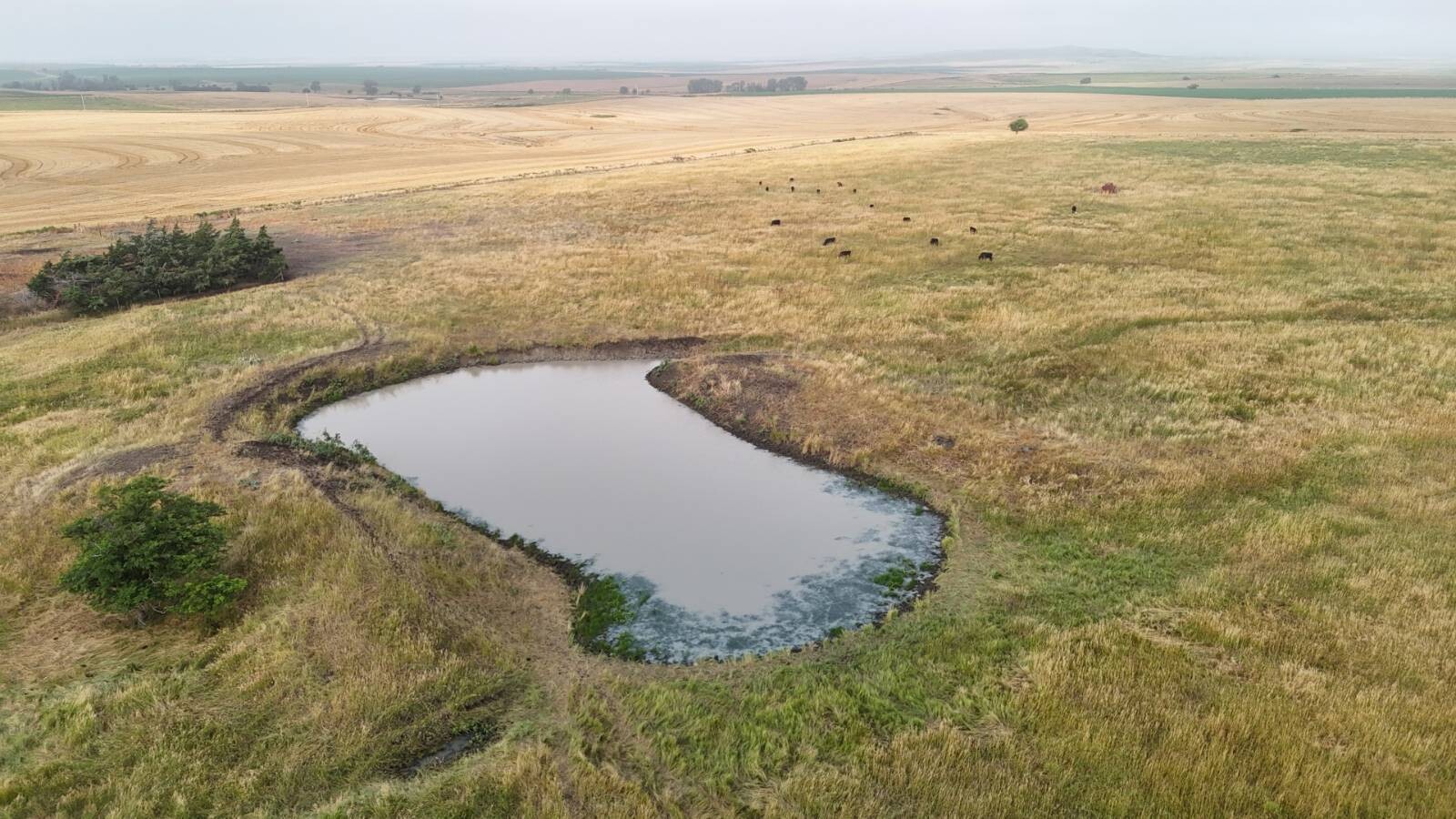 Land for Sale in Mitchell County, KS (6 of 23)