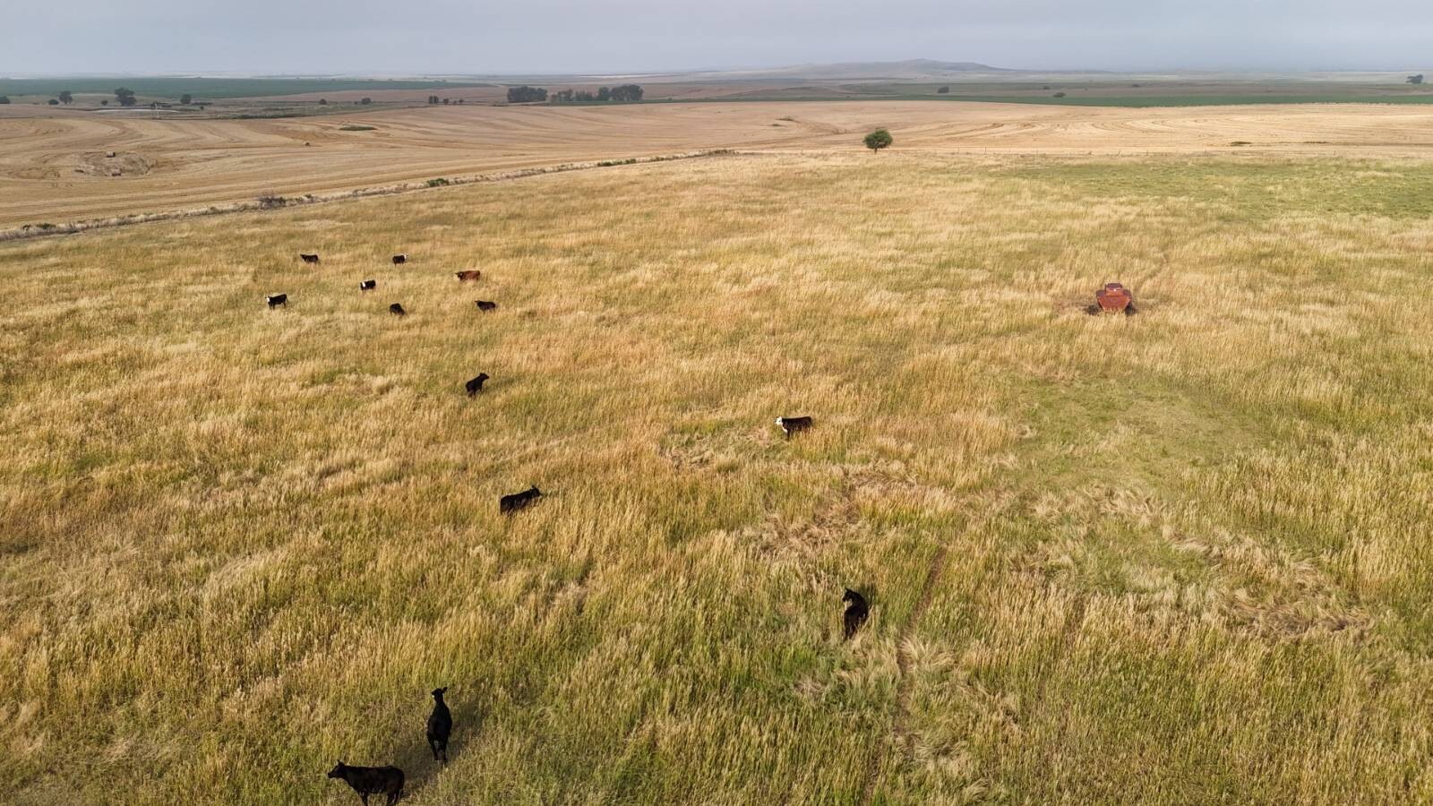 Land for Sale in Mitchell County, KS (11 of 23)