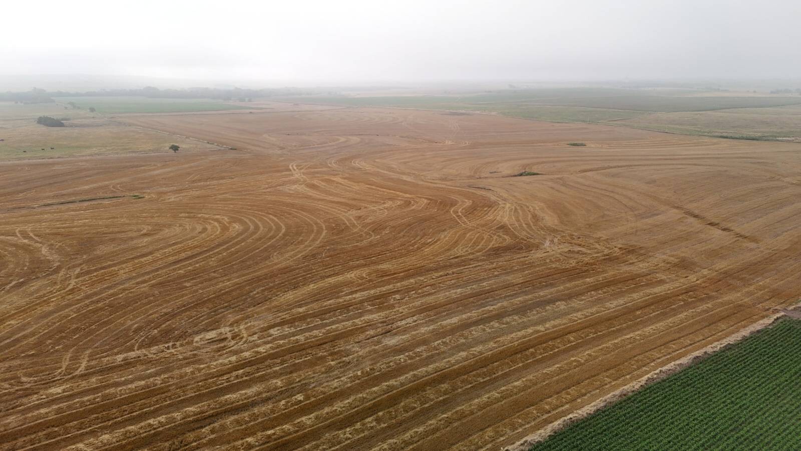 Land for Sale in Mitchell County, KS (15 of 23)