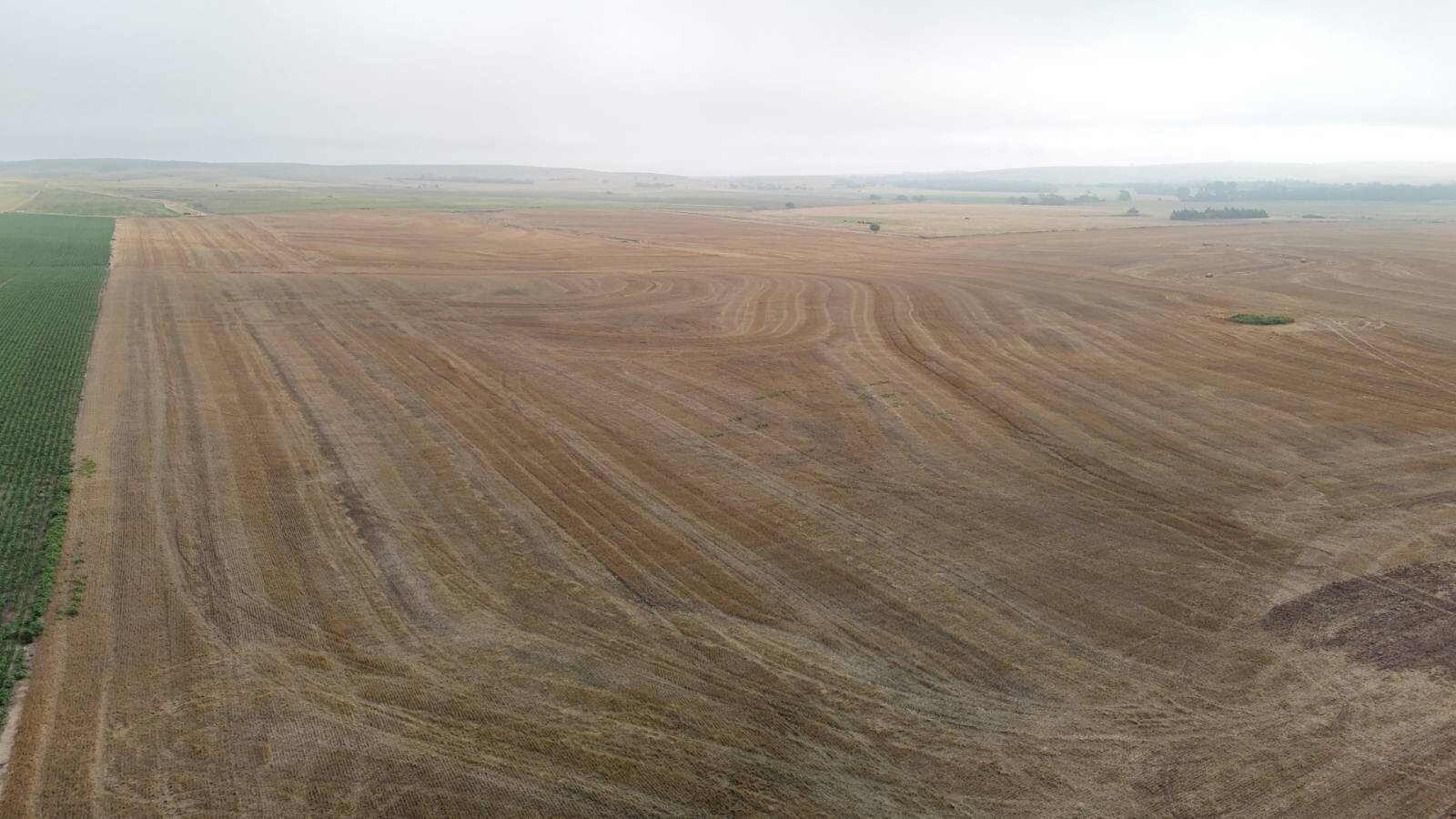 Land for Sale in Mitchell County, KS (18 of 23)