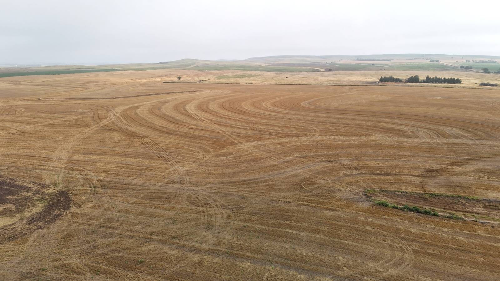 Land for Sale in Mitchell County, KS (20 of 23)