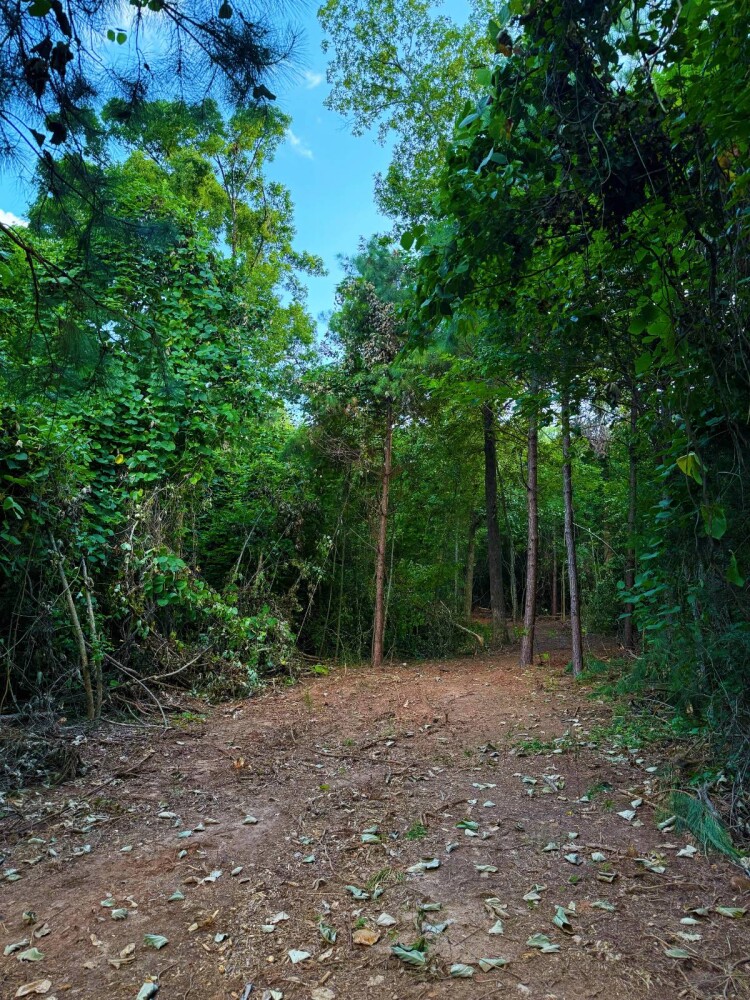 Land for Sale in Laurens County, SC (3 of 27)