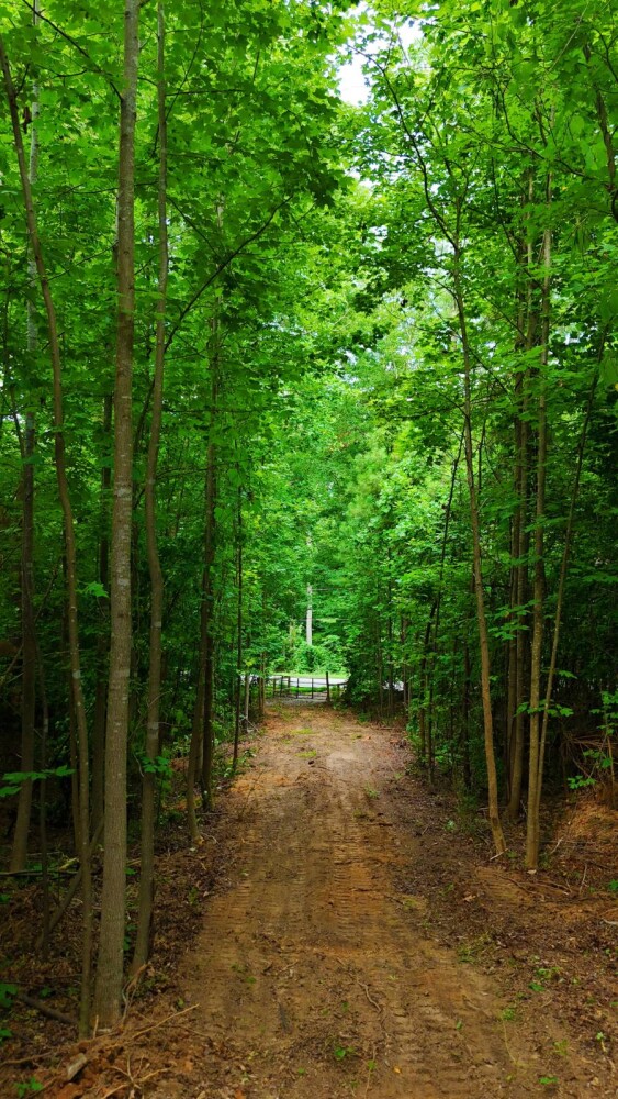 Land for Sale in Laurens County, SC (4 of 27)