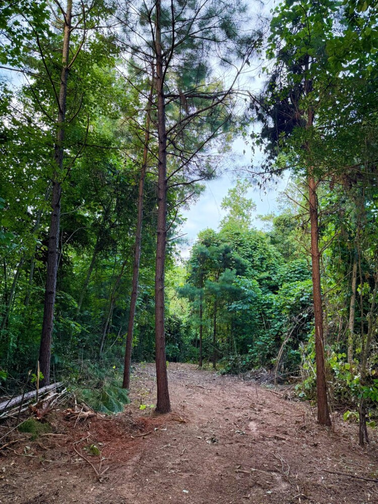 Land for Sale in Laurens County, SC (6 of 27)