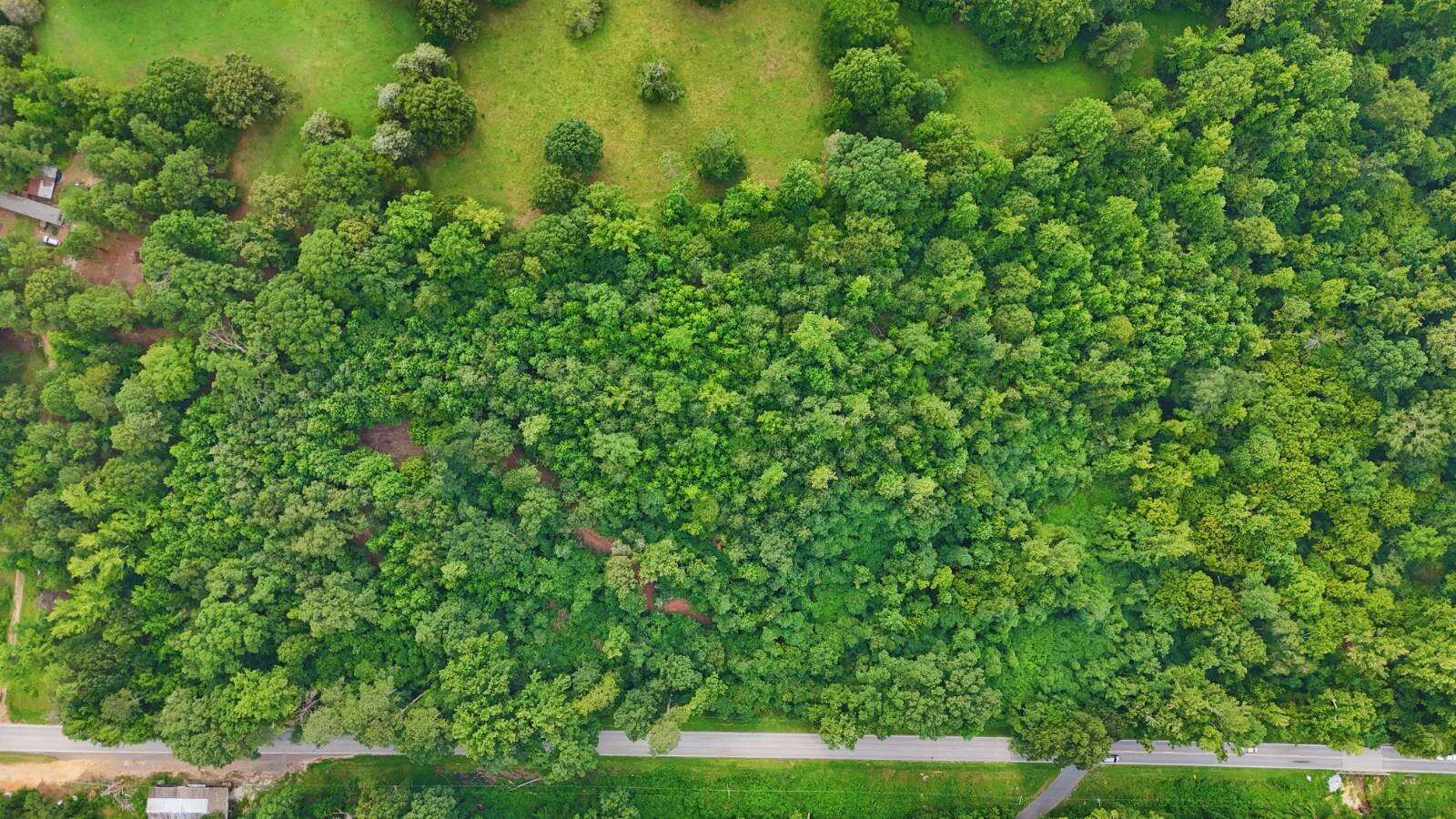 Land for Sale in Laurens County, SC (10 of 27)
