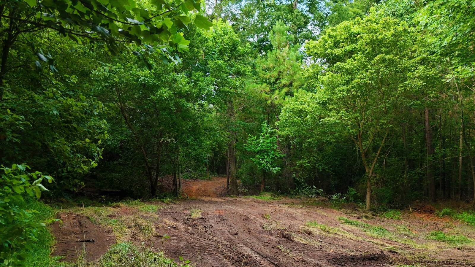 Land for Sale in Laurens County, SC (12 of 27)